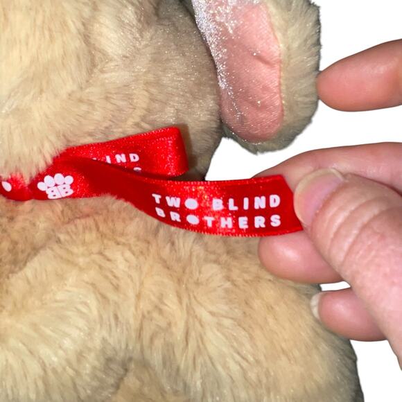 Two Blind Brothers Plush Guider Dog Braille Stuffed Animal Nursery Decor Tan 16" - Picture 6 of 12